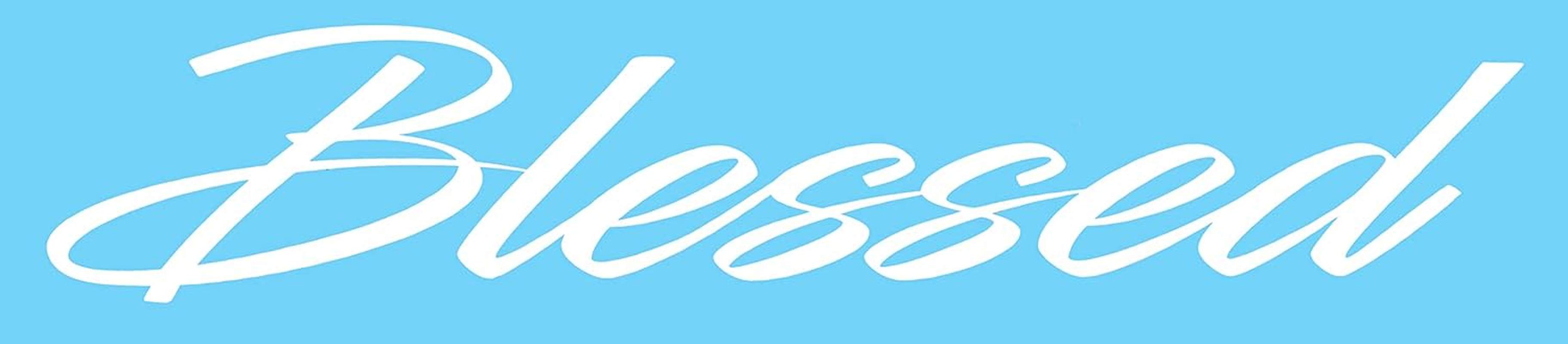 XTRAYXRAY Blessed Windshield Banner Sticker Car Decal Window Bumper Decal Sticker Suitable for Cars, Trucks image number 4