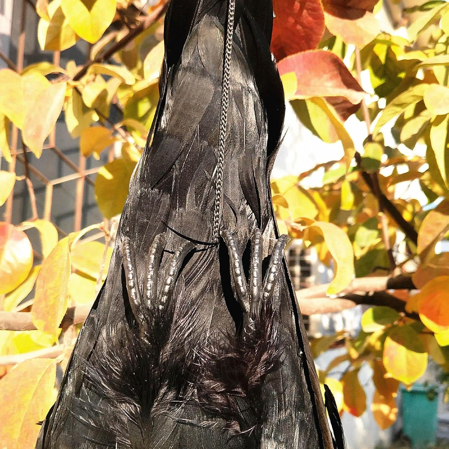 Hanging Dead Crow Bird Scarer,Crow Decoys,Rrealistic Crow Decor, Lifesize Black Feathered Crow Fake Black Crows for Garden Backyards Patios Doors Halloween Decorations image number 3