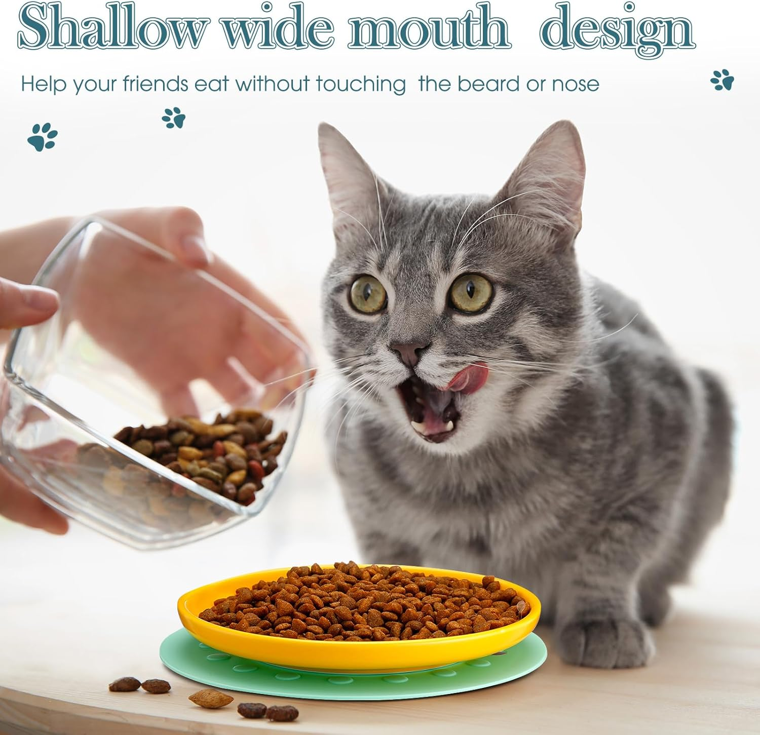 Blulu 4 Ceramic Cat Bowls with 4 Non-Slip Silicone Mats Flat Cat Feeding Bowls to Relieve Whisker Fatigue Cat Food Plate for Kittens Small Pets Water Wet Food image number 6