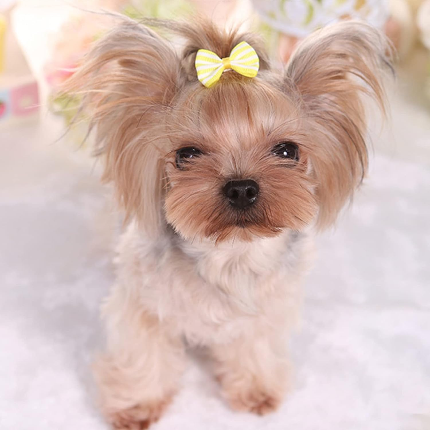 Pet Hair Clips, Bowknot Bows Dots Pet Hair Clips for Dog Cats Puppy,Random Color,24Pcs image number 6