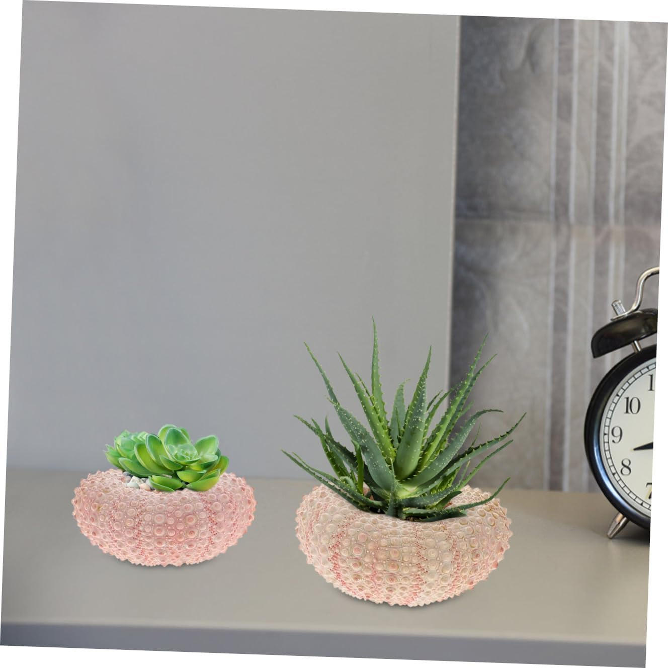 Cabilock 10Pcs Natural Sea Urchin Shell Air Plant Urchin Holder Miniature Gardening Decorations for Boys and Girls Party Supplies image number 5