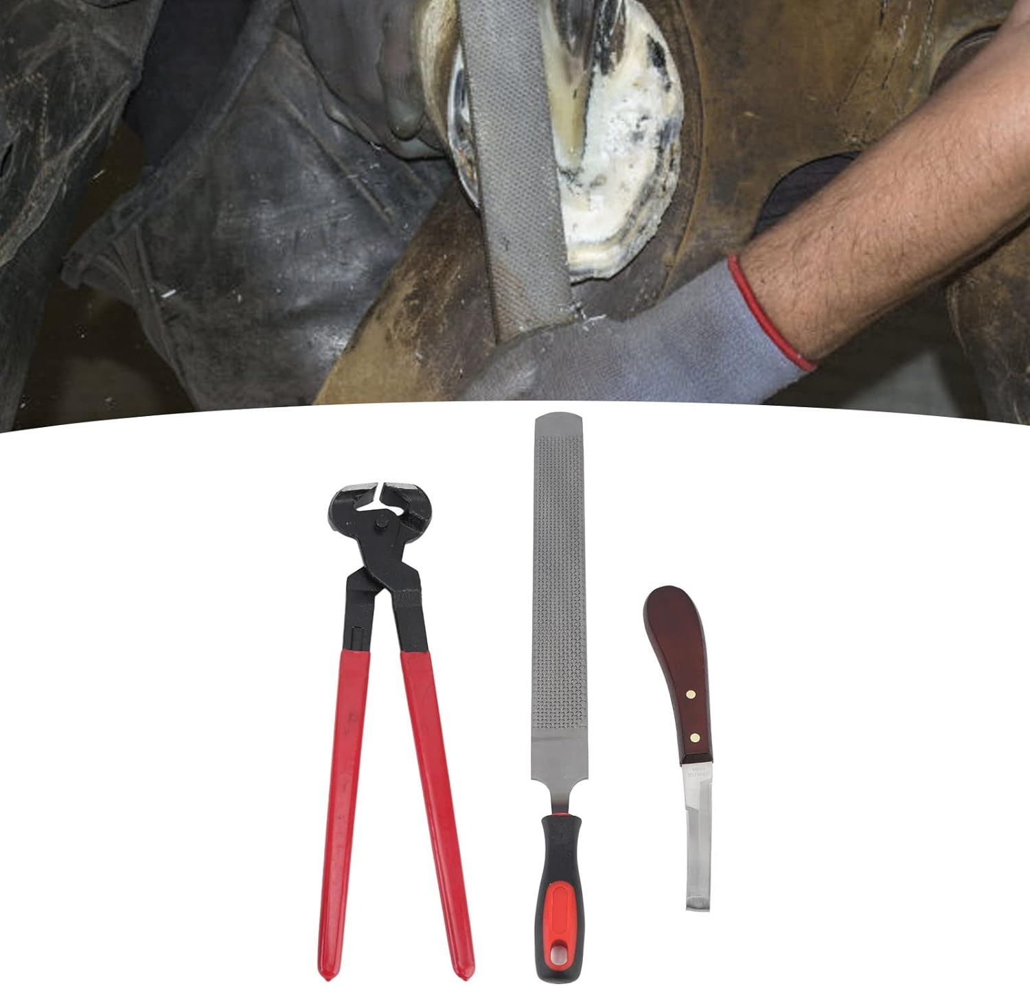 Horse Farrier Hoof Trim Tool, Double Sided File Horse Farrier Tool Kit Farrier Tool Kits Hoof Trimmer Tool Professional Horseshoe Pliers Nipper for Horses Cattle Sheep Donkeys image number 1
