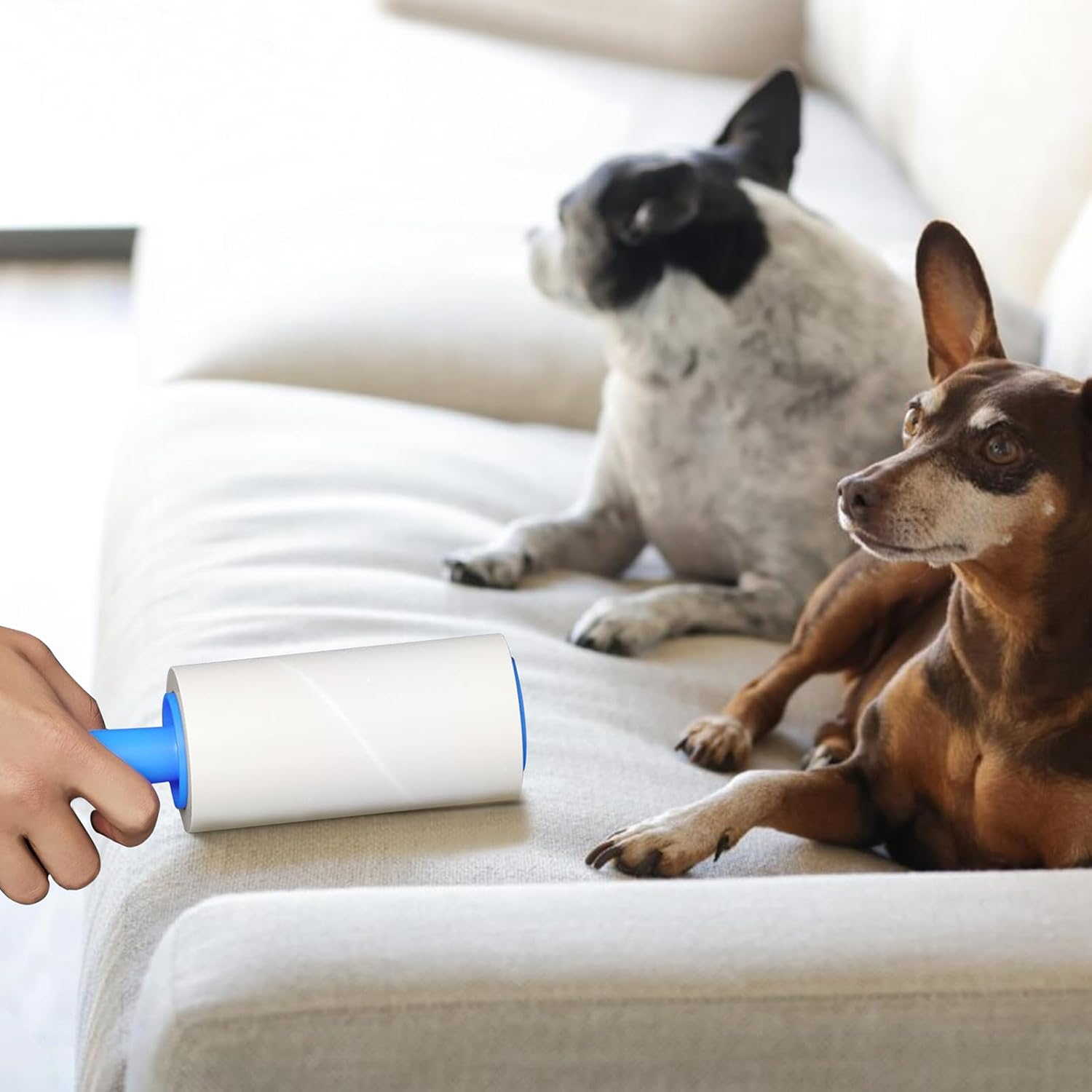 JORAGO Lint Roller and Refill - 1440 Sheets Portable Lint Remover Set, Extra Sticky Lint Pet Hair Removal Picks up Fur & Fluff for Clothes, Dog Cat Hair, Bed, Furniture, Couch, Carpet, Home, Car image number 4