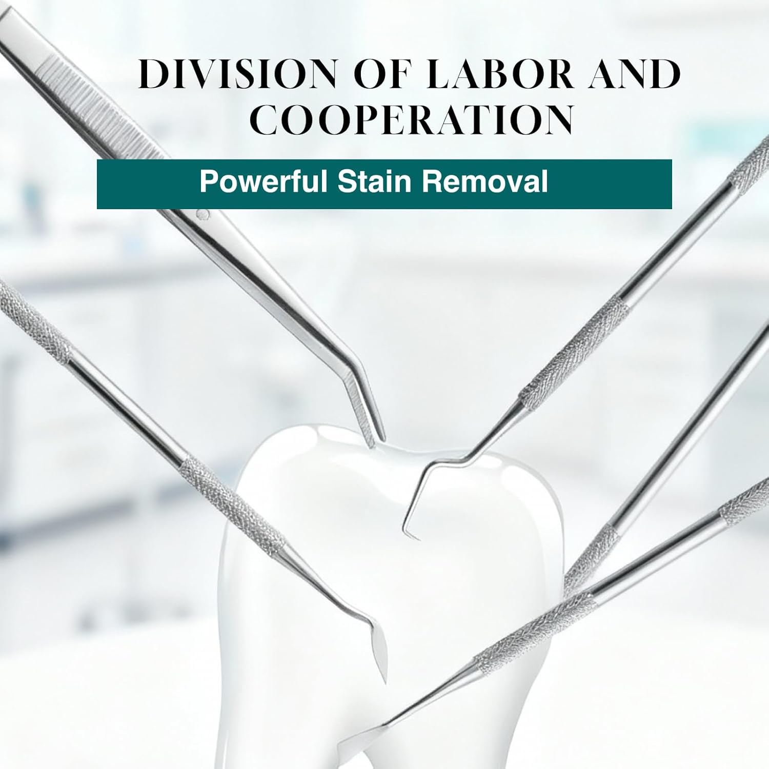 Professional Dental Cleaning Tools Kit, 6 Pack Stainless Steel Teeth Cleaning Tools, Includes Dental Mirror, Dental Picks, Tartar Scraper, Plaque Remover & Tonsil Stone Remover for Home Dental Care image number 4