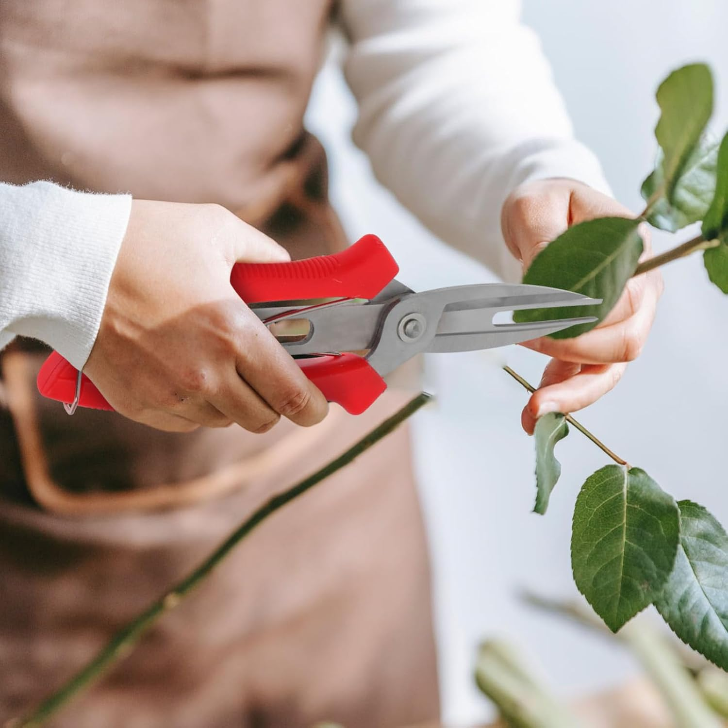 Abaodam 5Pcs Garden Pruning Shears Handheld Trimming Scissors for Plant Flower Care Essential Garden Tools for Gardening