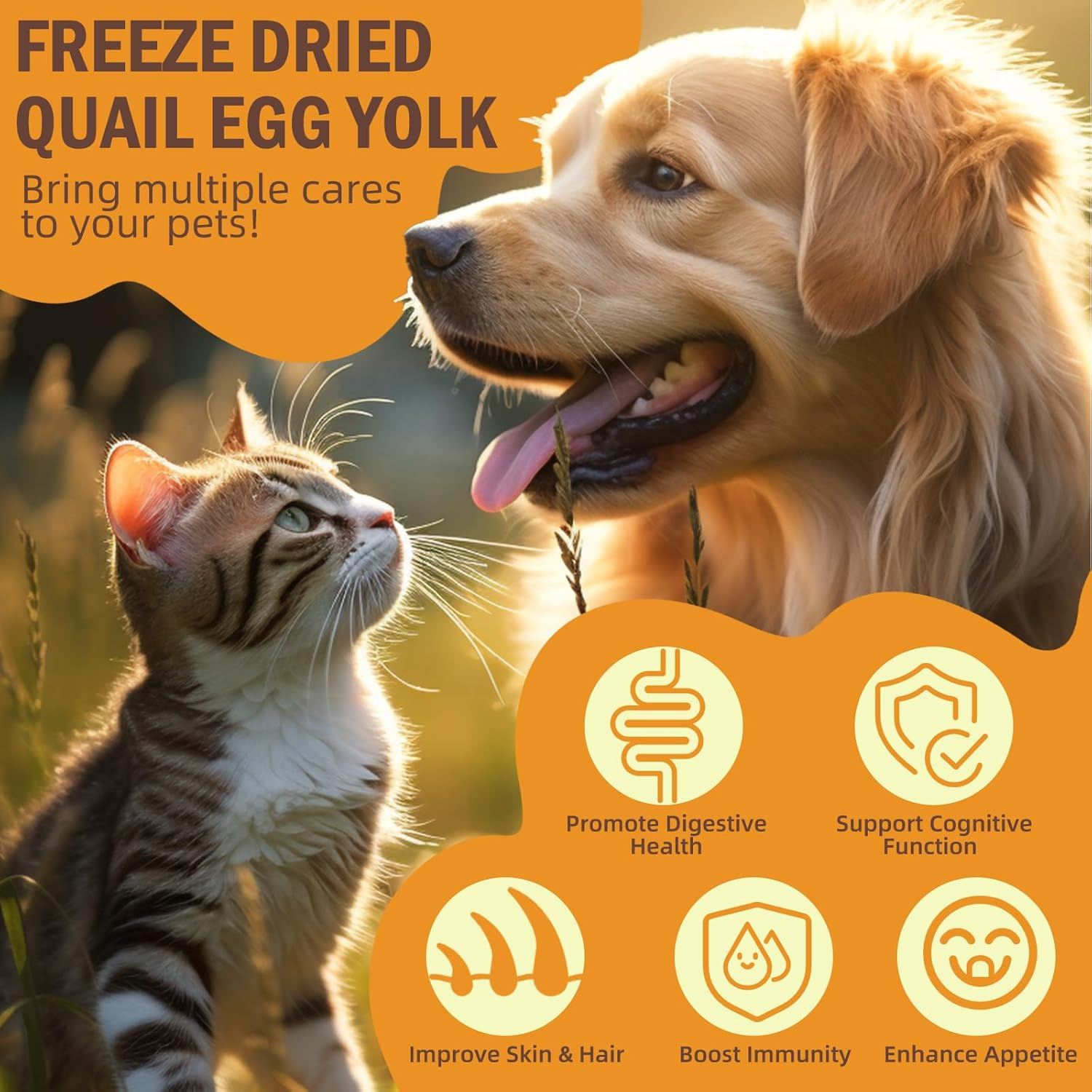 Cat Freeze Dried Quail Egg Yolk Pet Treats, Freeze-Dried Pet Food for Dogs and Cats, Healthy Tasty Snacks Quail Egg Yolk for Training