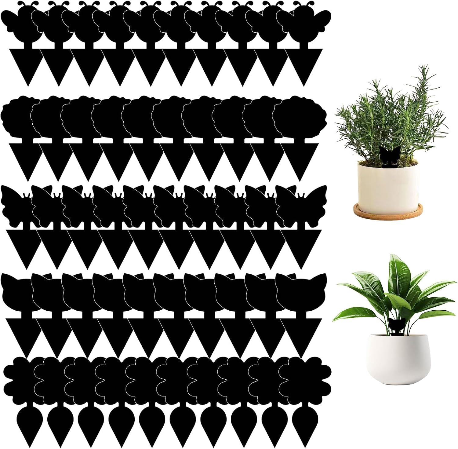 Fruit Fly Trap Indoor, Gnat Sticky Trap, 50 PCS Fruit Fly Traps for Whiteflies Mosquitos Fungus Aphids Leafminers, Gnat Trap for Indoor Outdoor Use Protect the Plant, Pest Control(Black) image number 3