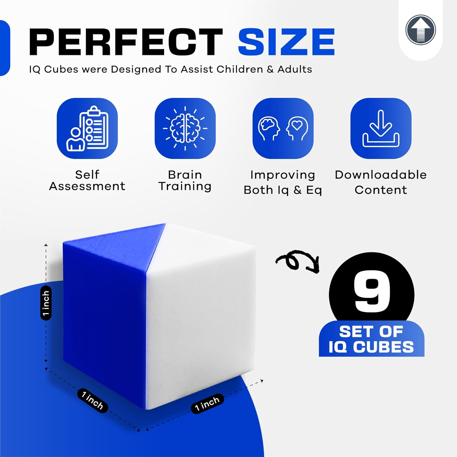 Test Cubes (Blue and White) - Study for Block-Design Test, Practice Cognitive Spatial Reasoning Test, 9 Kohs Cubes, WAIS and WISC Test Preparation image number 2