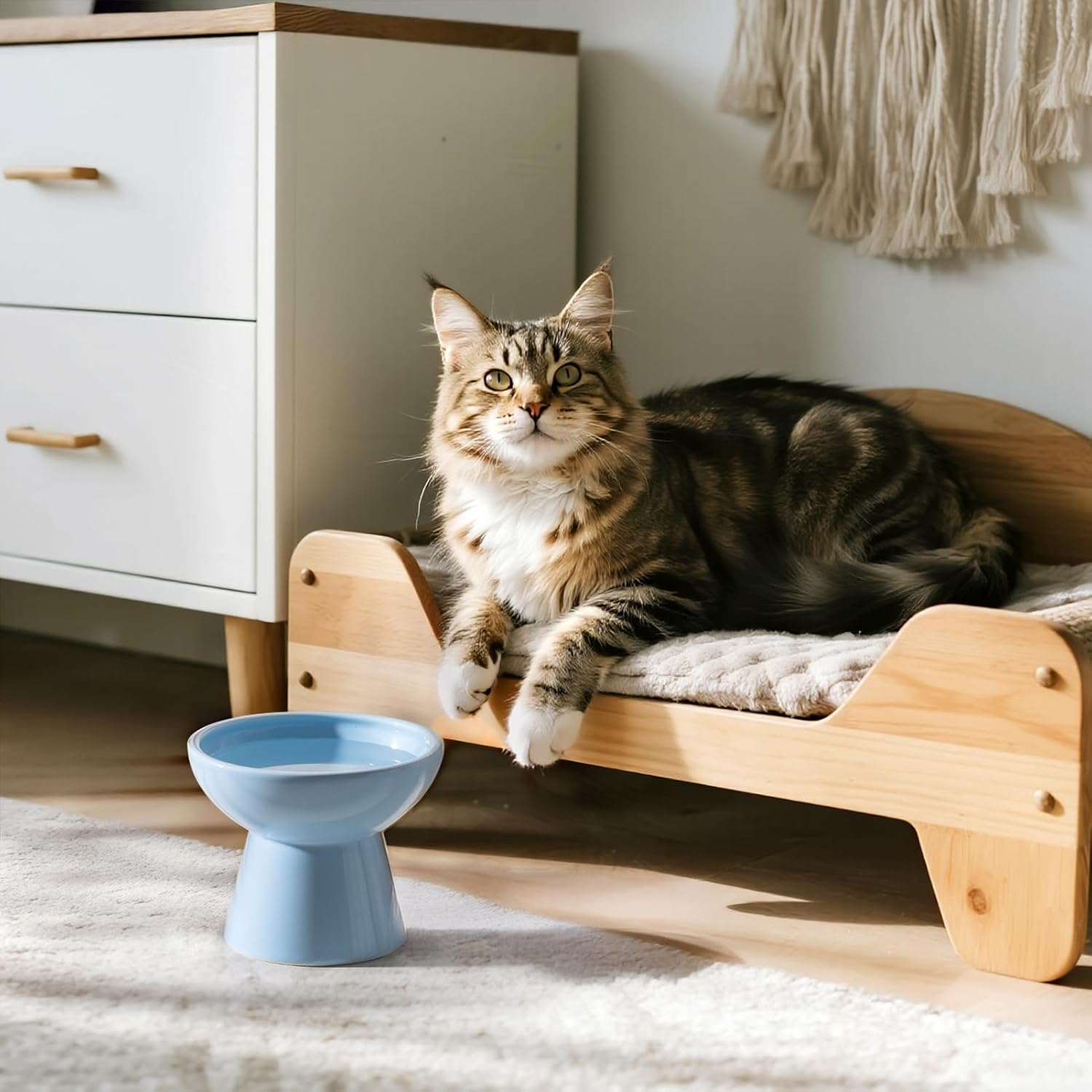 CEEFU Extra Wide Elevated Ceramic Cat Water Bowl - 6.2" Deeper Dish for Whisker Fatigue Relief, 5" Height for Easy Feeding, Lead & Cadmium Free, Durable Raised Cat Bowls, Blue