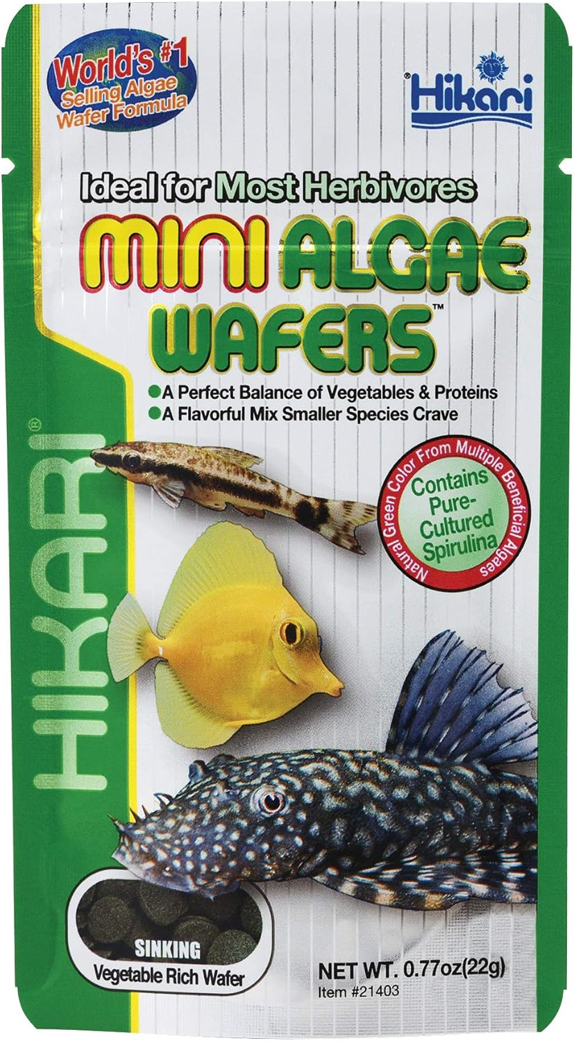 Hikari Usa Inc AHK21403 Mini Algae Wafers 0.77-Ounce image number 2