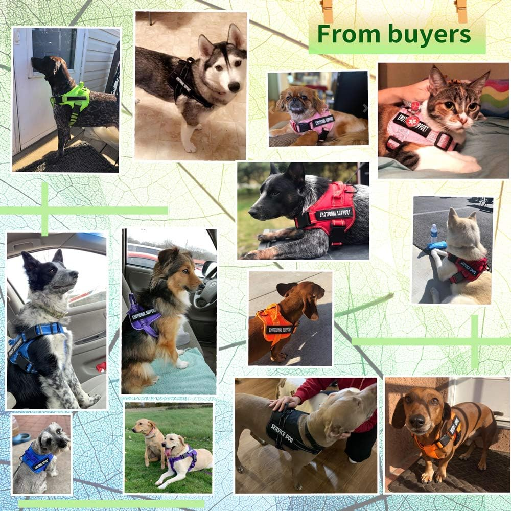 Voopet Service Dog Harness,Emotional Support Pet Vest Harness,Reflective Breathable and Adjustable No-Pull ESA Dog Harness for Small Medium Large Dogs (With 4 PCS Removeable Tags) X-Small (Pack of 1)