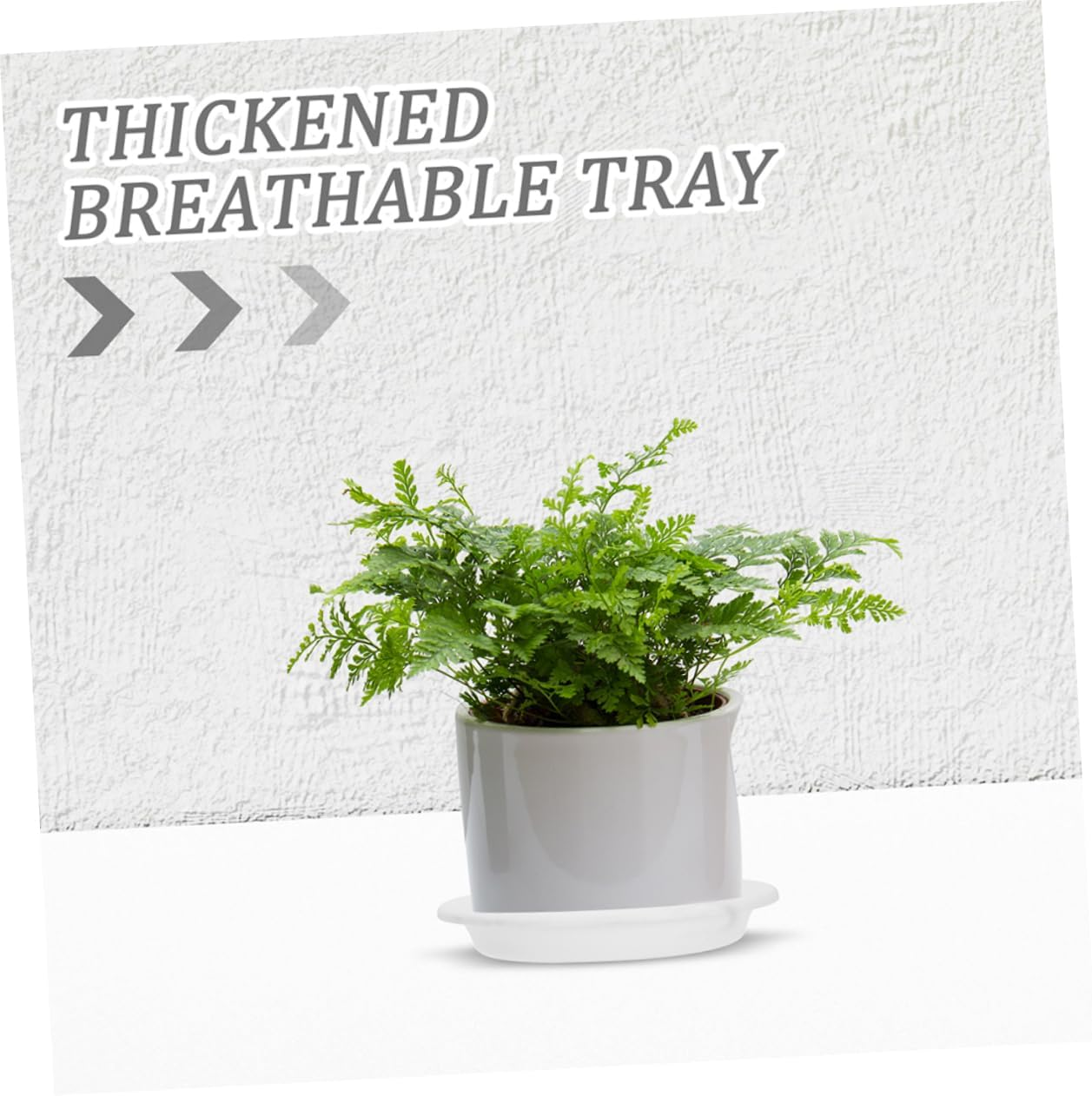 FONDOTIN 10Pcs Water Catcher Trays for Indoor Plants Thickened round Drip Saucers Drainage Base for Outdoor Gardening Versatile Flower Pot Water Trays image number 2