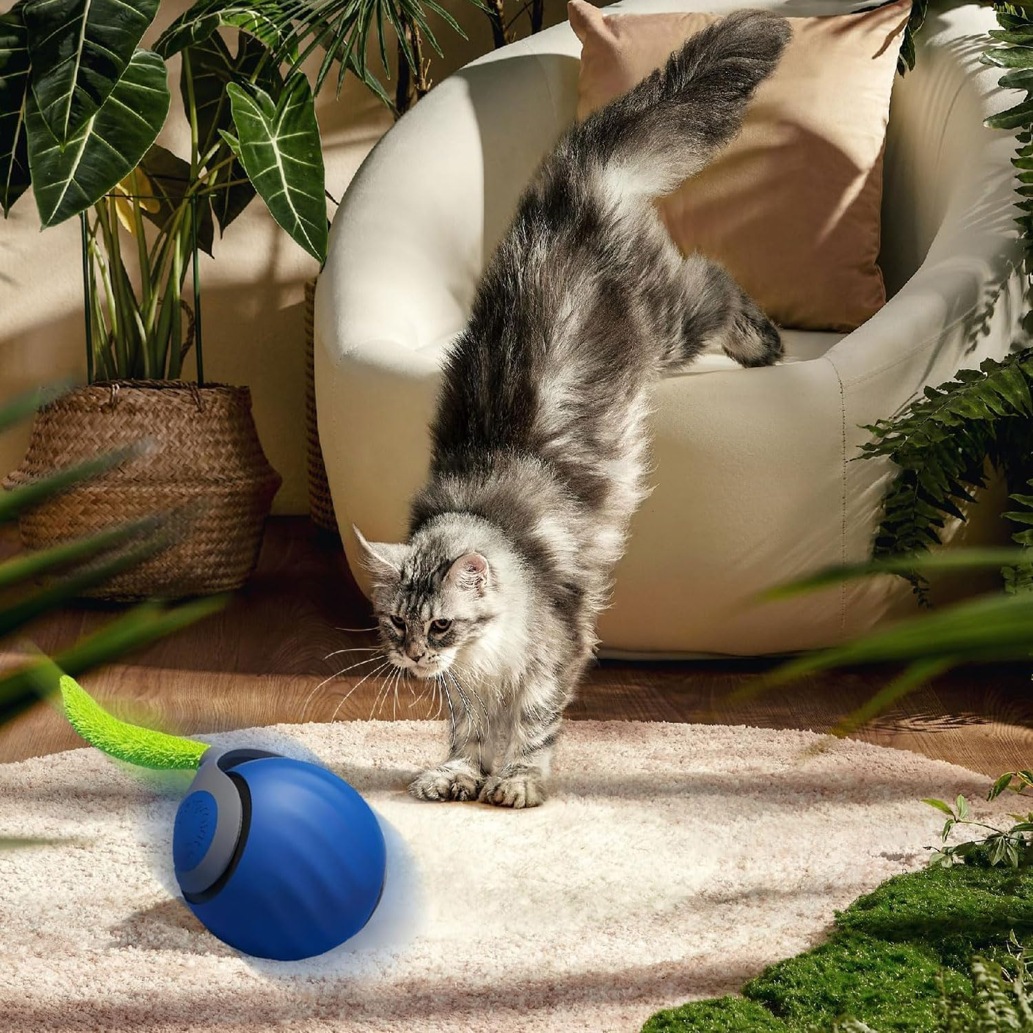 TKINRIC 2PCS New Interactive Rolling Cat Toy Ball,Interactive Cat Ball Toys for Indoor,360&deg; Smart Automatic Rolling Electric Dog Ball with USB Rechargeable(Red&Blue) image number 6