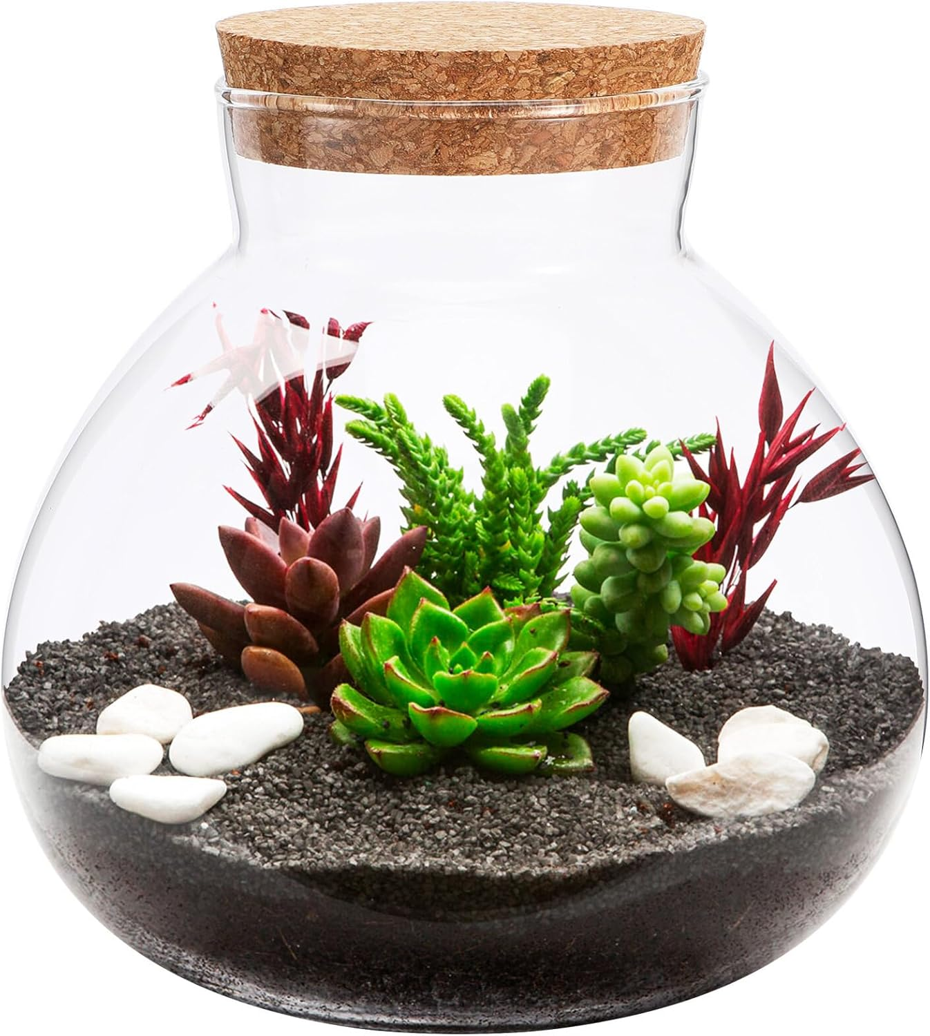 Kisangel Glass Plant Terrarium Jar, Micro Landscape Terrarium with Wood Lid, Tabletop Succulent Planter DIY Planterdecor for Craft image number 5