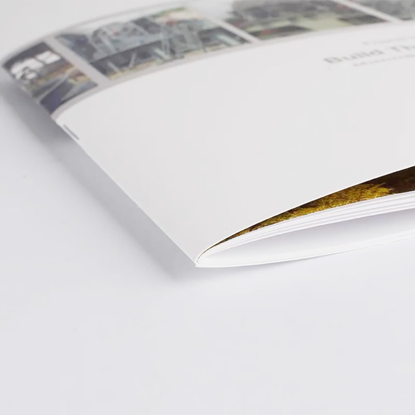Custom Saddle Booklet (Saddle Stitch) Brand Promotion Product Catalog Cover Anti-Scratch Matte or Glossy Film Full Color Coated Paper Printing (A5 (5.5 X 8.5") Matte Cover, 12 Page, 10 Pcs) image number 1