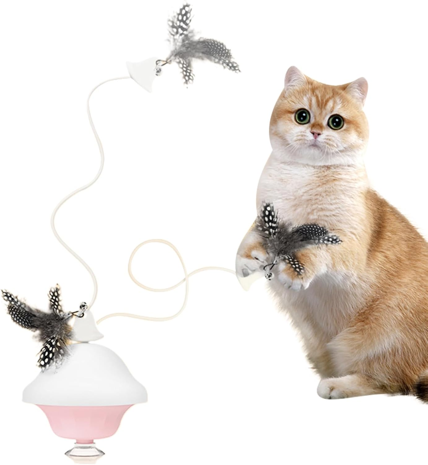 Cat Retracting Toy,Chew-Resistant Companion | Retractable Bored Cat Toy | for Small Medium Large Breeds Living Room Bedroom Study Room Balcony