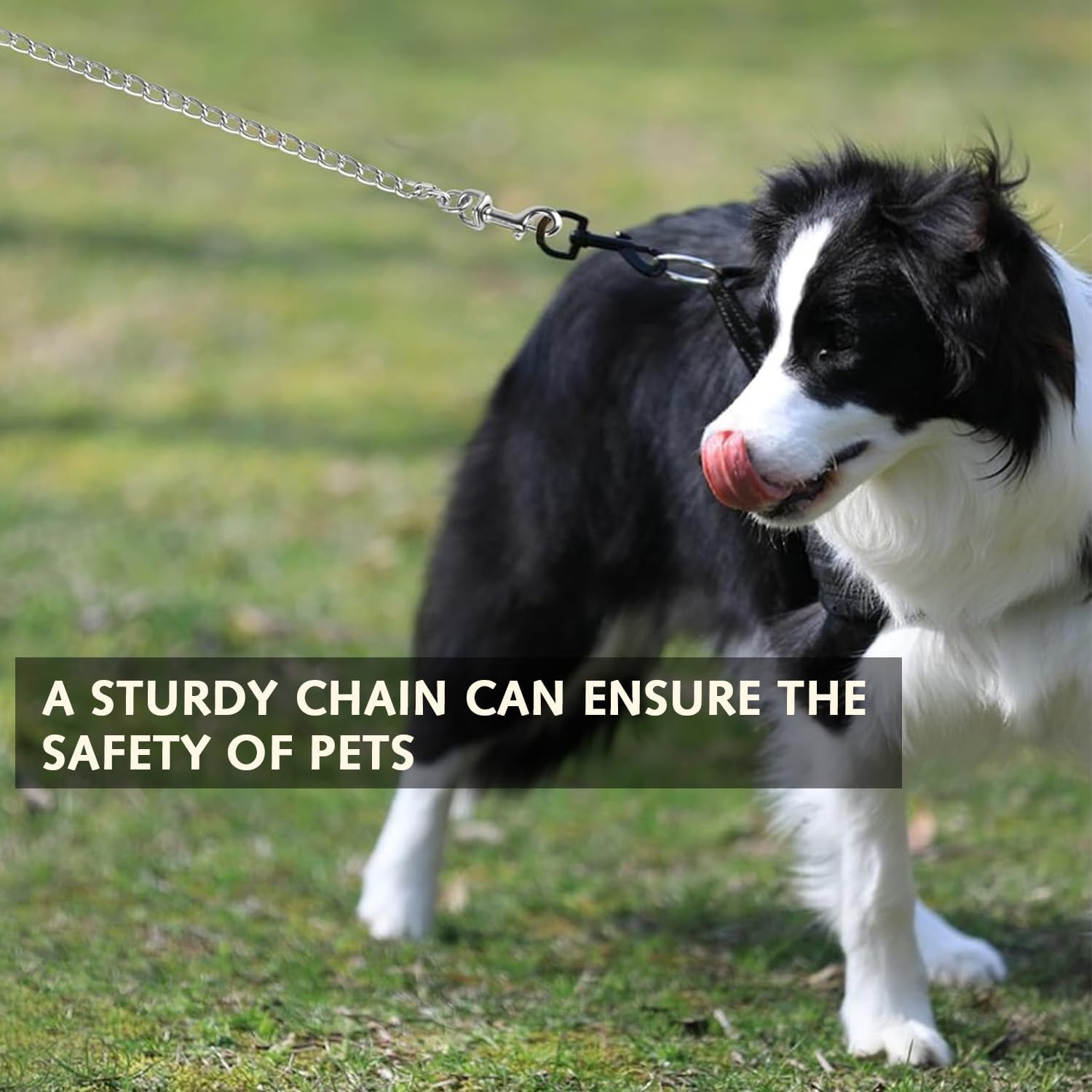 Heavy Duty Metal Dog Leash Training Leash with Padded Nylon Handle Bite Resistant Pet Leash for Large Medium Dogs 120Cm/3Mm - Black image number 4