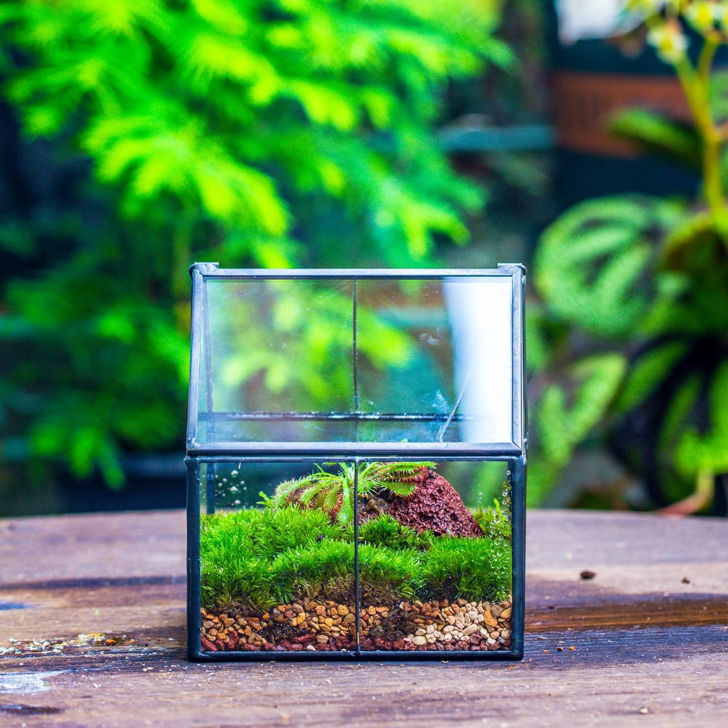 NCYP Mini Glass Geometric Terrarium with Lid - 4.25" X 4.25" X 4.92" Small House Shape Close Planter Pot for Succulents Plant - Handmade, Home Garden Office Tabletop Decor, Black (Terrarium Only) image number 5
