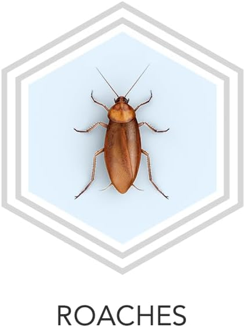 Raid Max Cockroach Baits 12-Pieces Pack image number 3