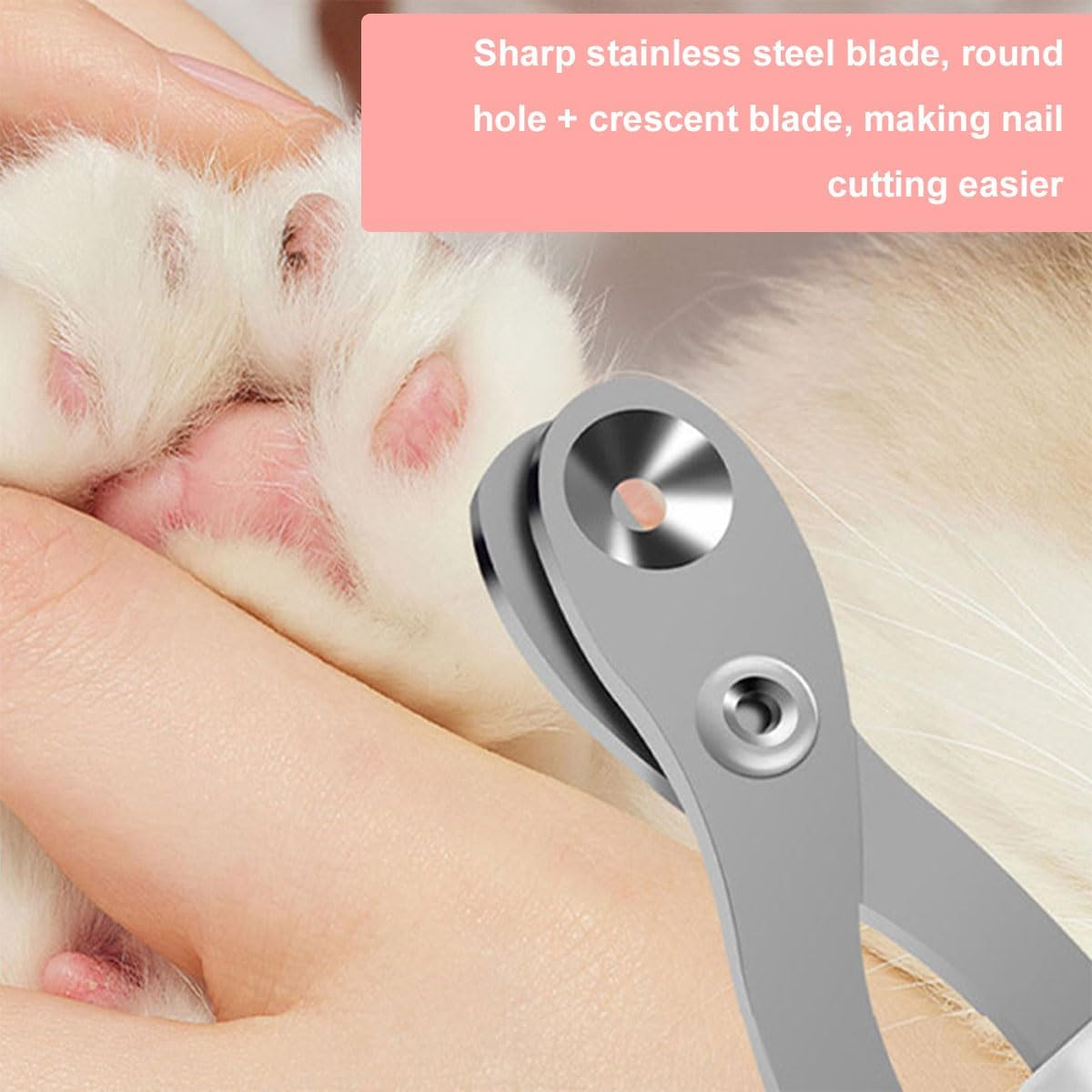 Toulifly Cat Claw Scissors, Stainless Steel Cat Nail Clippers, Nail Scissors for Kittens, Safety Double Circular Hole Pets Cat Nail Scissors, for Beginners, Blue, 2 Pieces image number 4