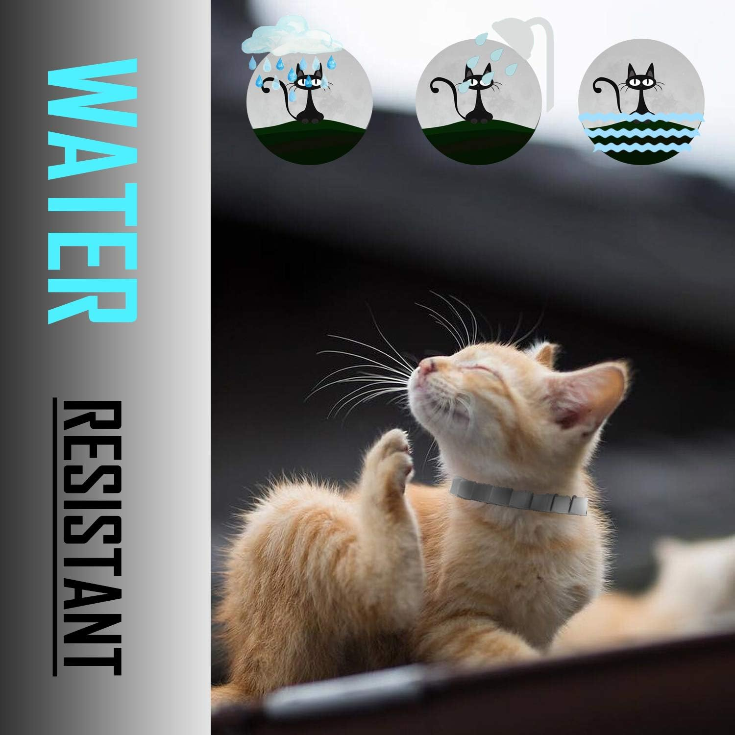 Flea and Tick Collar for Cat, Repels Fleas & Ticks, Natural Essential Oils, Allergy Prevention, 8 Months Protection, Adjustable & Waterproof (2 Packs) image number 4