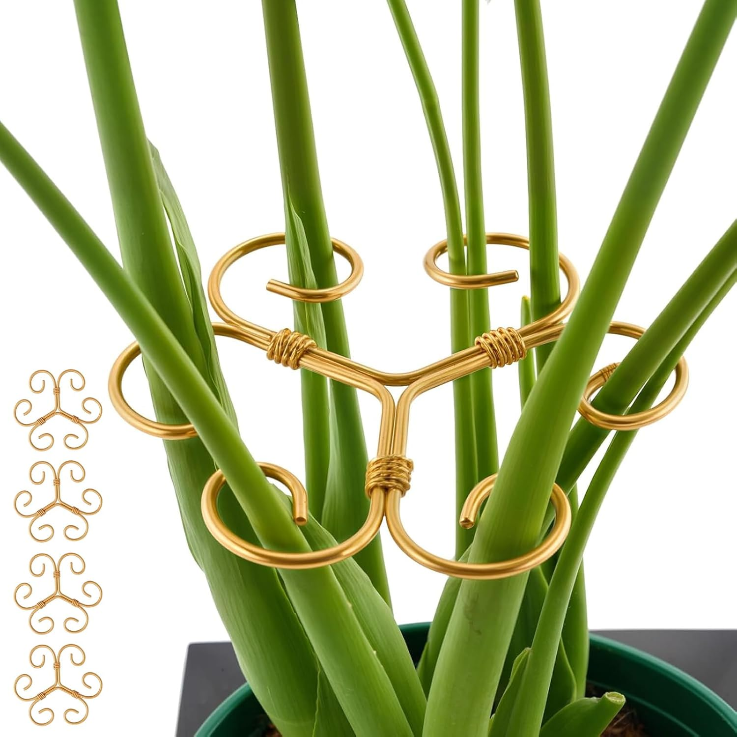 Iron Plant Stem Support, 4 Pcs Plant Support for Monstera &Climbing Plants,Plant Support Stakes for Indoor Plants,Stable Plant Stakes and Supports,Turtle Shell Bamboo Clamp Set for Thriving Growth image number 5