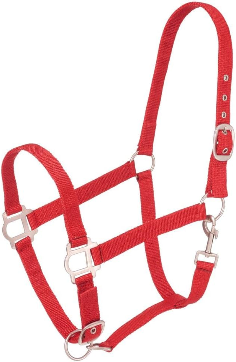 Tough 1 Tough-1 Nylon Halter with Satin Hardware image number 4
