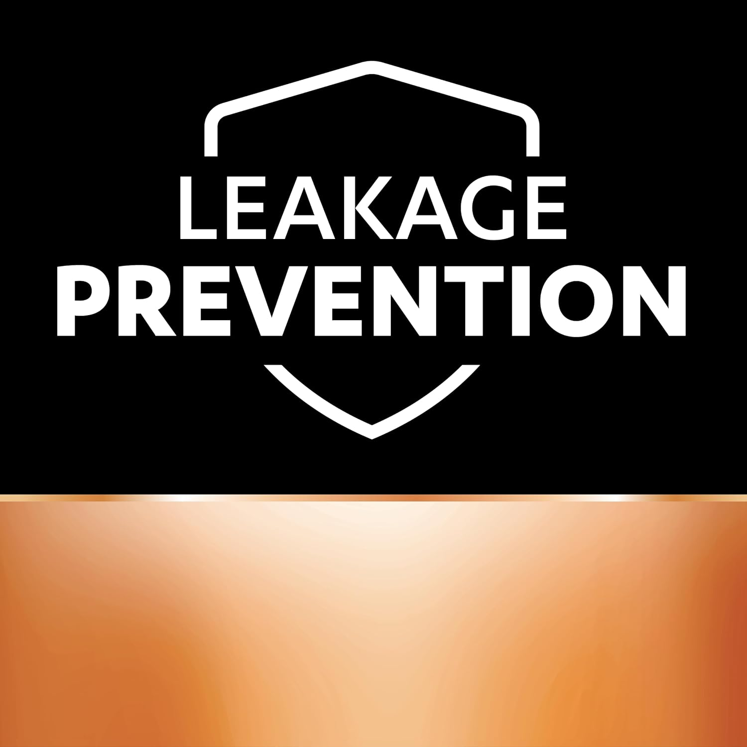 Duracell Coppertop Alkaline D Battery, 4 Pack