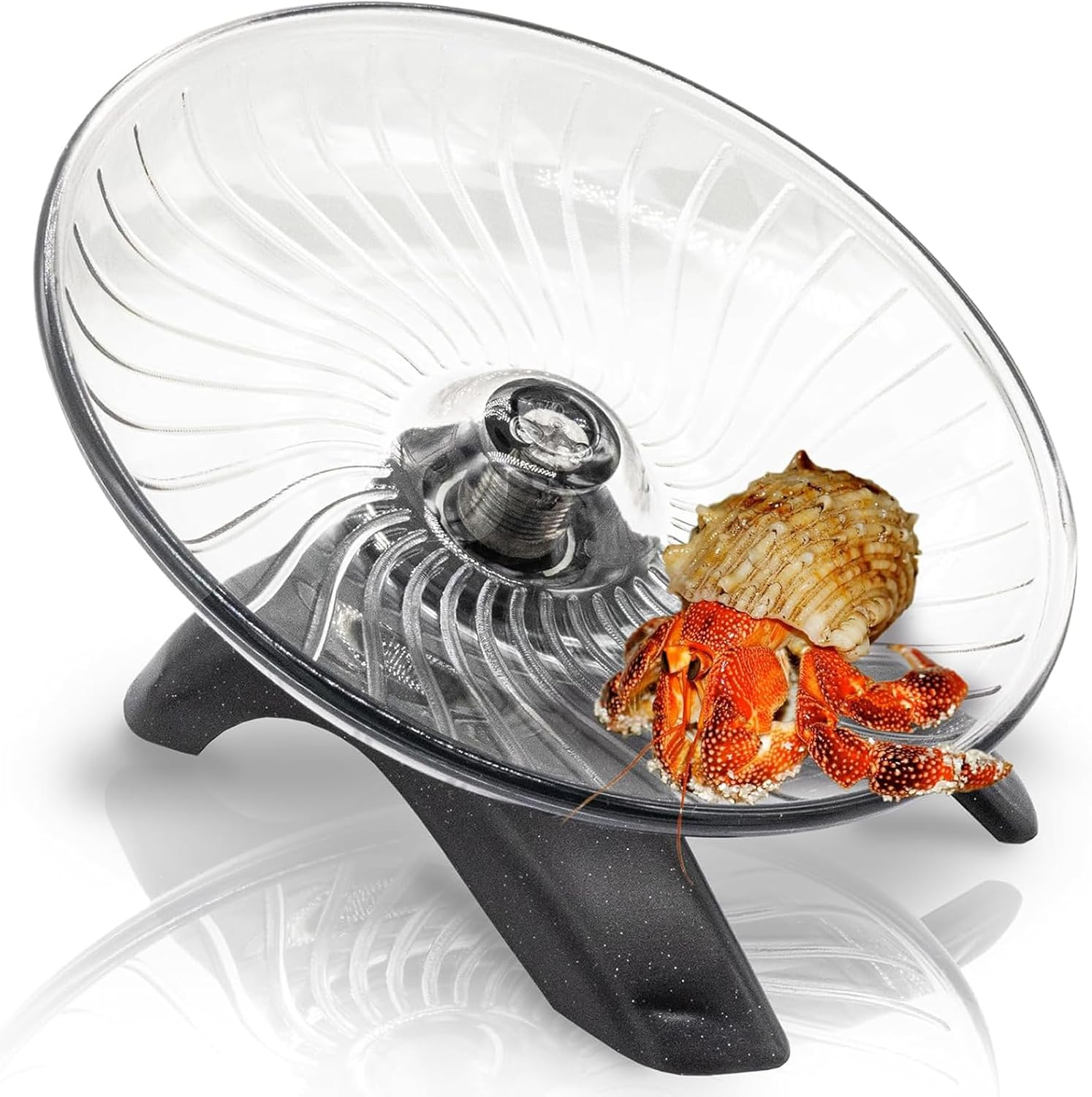 Hermit Crab Exercise Wheel - Silent Running Wheel for Crab Tank Accessories - Small Animal Wheel for Hamster Gerbils Hedgehogs image number 1