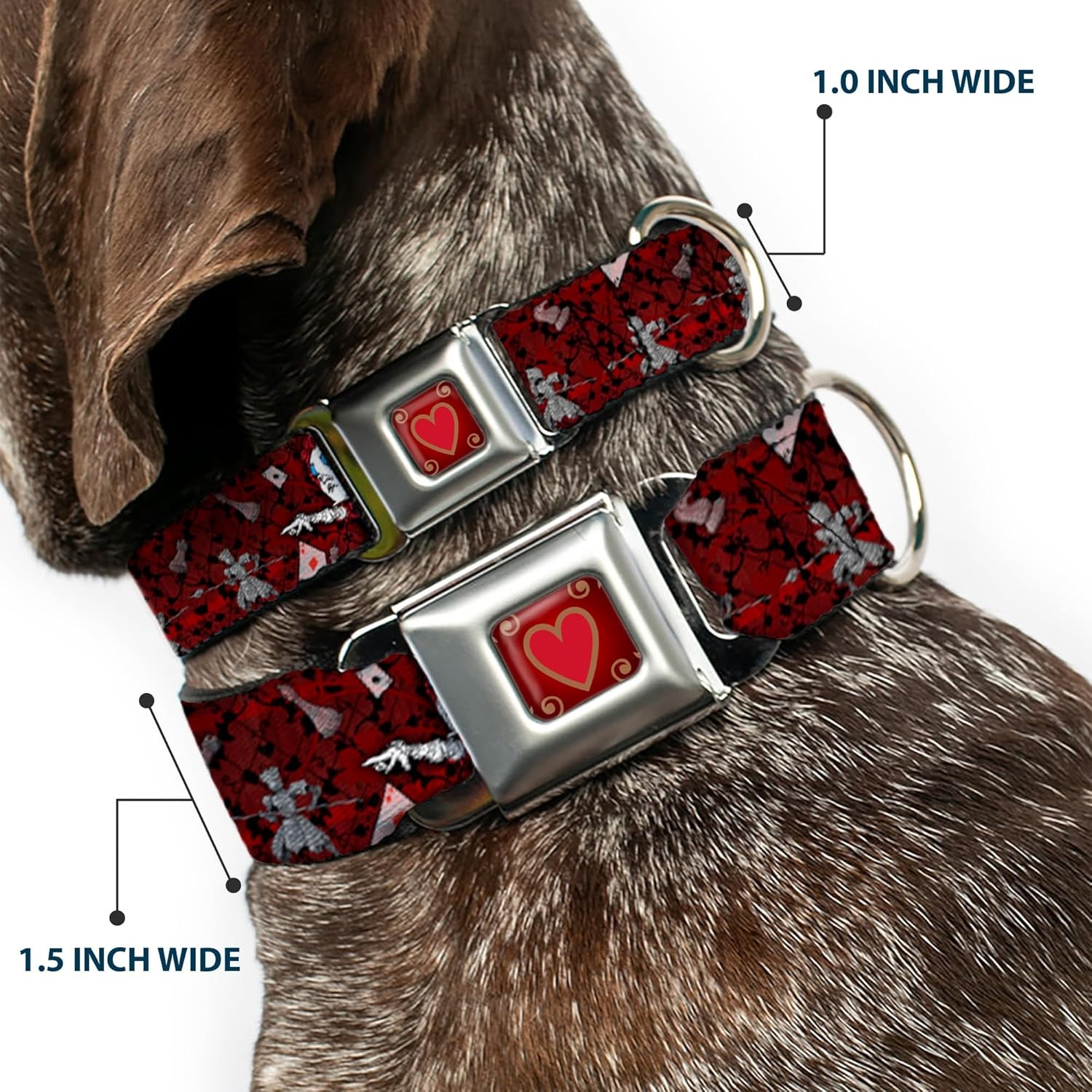 Buckle-Down Seatbelt Buckle Dog Collar - Queen of Hearts Poses/Hearts/Cards Reds/Black - 1.5" Wide - Fits 18-32" Neck - Large image number 3