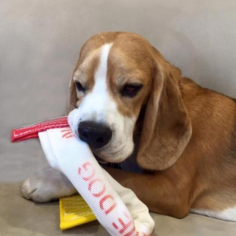 Aussie Dog Standard Turbo Chook