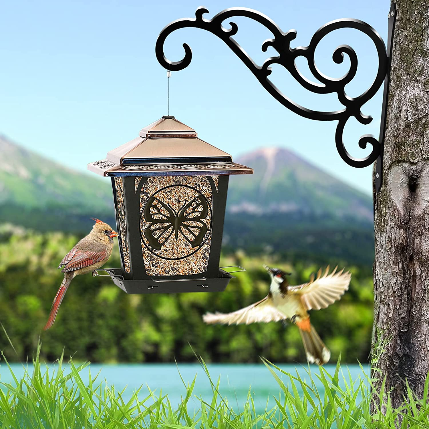 GSY 2 Pcs Hanging Plant Bracket 12-Inch,Wall Hook Hanging Plant Brackets,Black Iron Plants Indoor/Outdoor Planter Hangers Hooks,For Hanging Lanterns,Bird Feeders,Wind Chimes,Planters image number 5