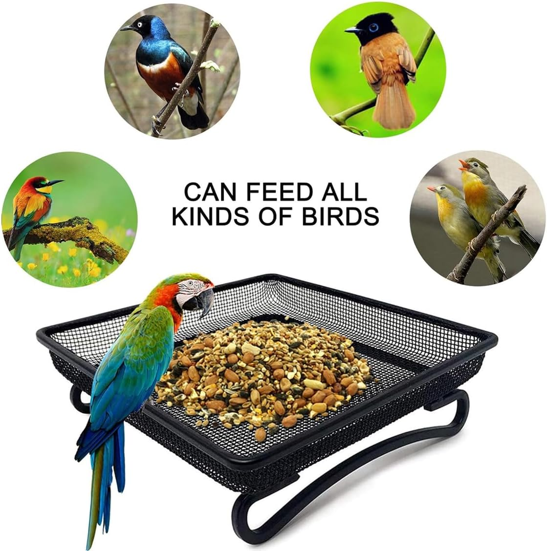 AIMALL Metal Bird Feeder Tray Iron Wire Square Mesh Platform Feeder with Wave Design Easy-Clean Fine Net Ground Feeder for Garden Birds 6.88In X 6.88In X 2.16In Black image number 3