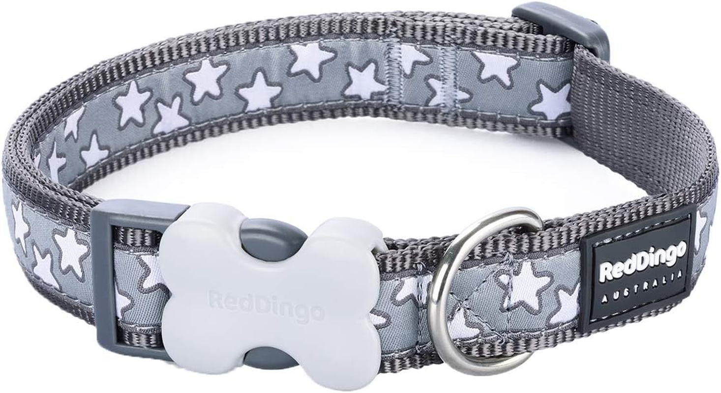 Red Dingo Designer Dog Lead, Turquoise Stars on Lime Green (15Mm X 1.2M) S image number 3