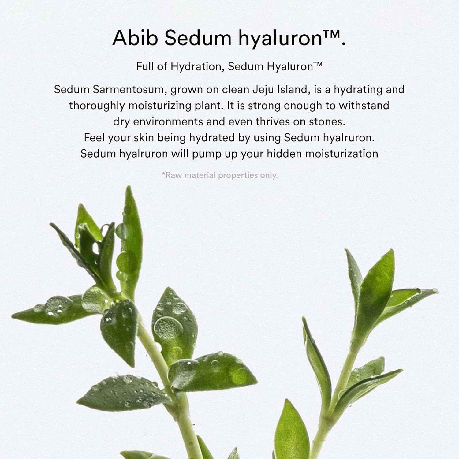 Abib Sedum Hyaluron Pad Hydrating Touch 75-Pieces 165 Ml