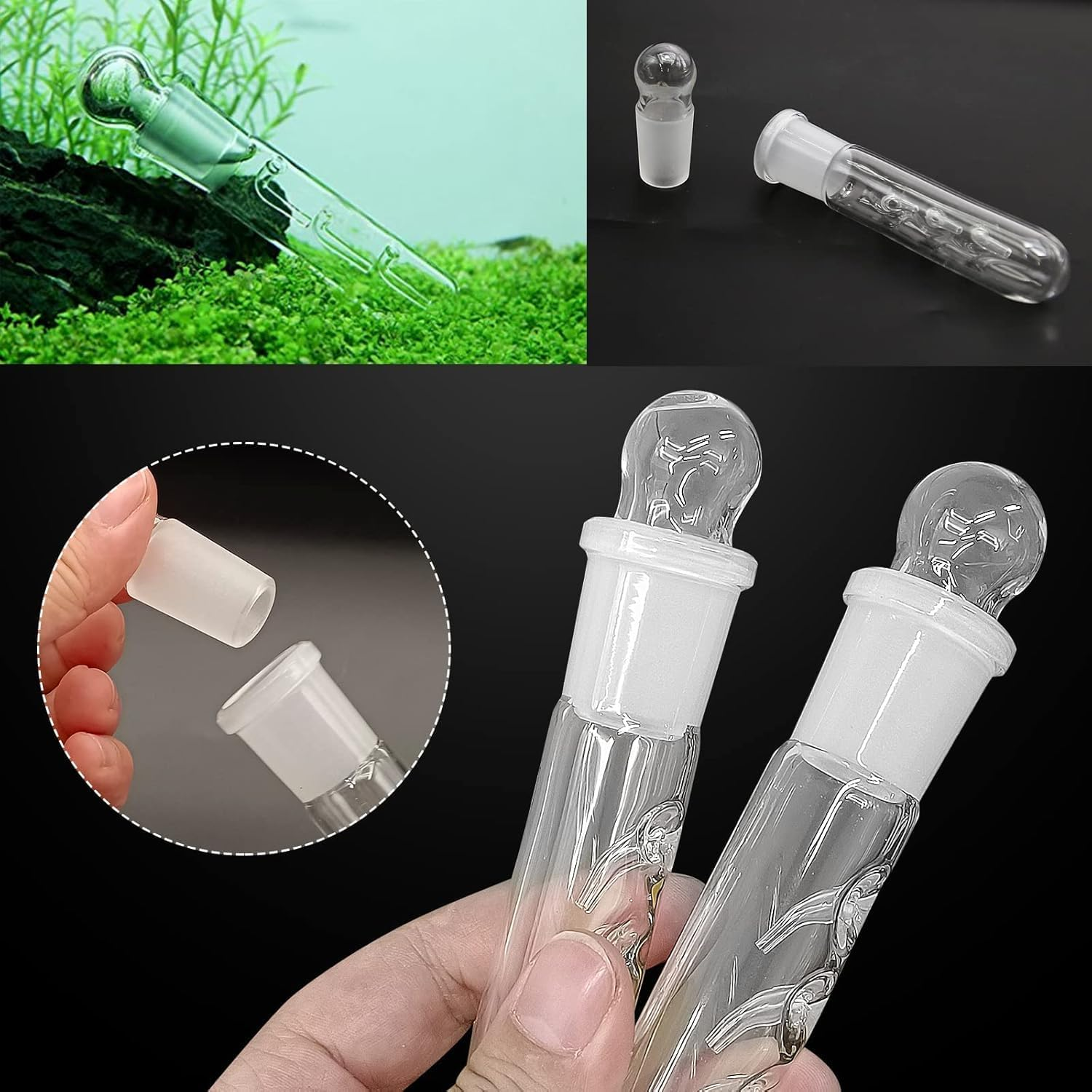 Planaria Aquarium Trap Leeches Catcher, 3Pcs Planaria Trap Shrimp Tank Aquarium Bristle Worm Leech Flatworm, Glass Leech and Bristle Worm Catcher for Shrimp Tank image number 5