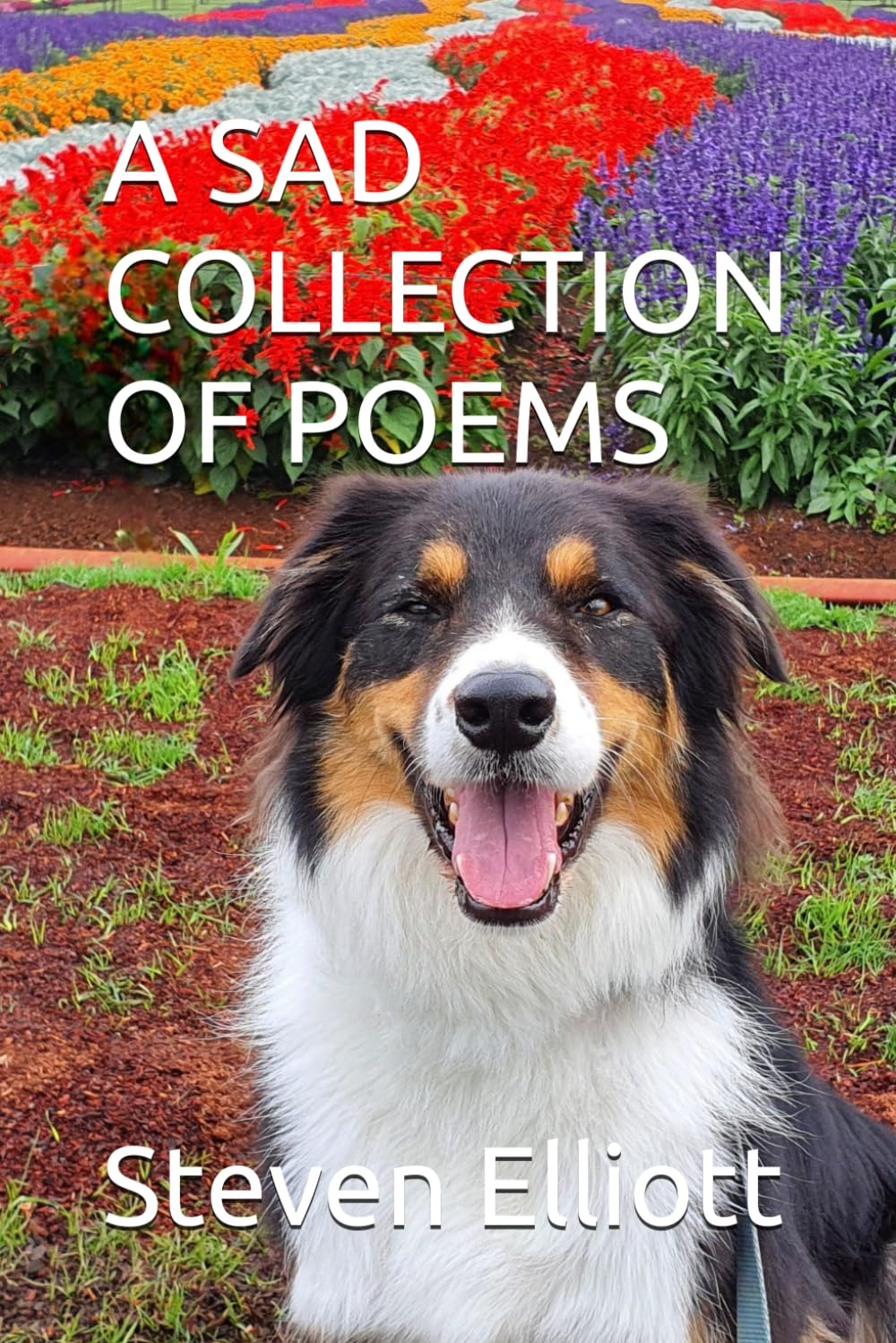 A SAD COLLECTION of POEMS