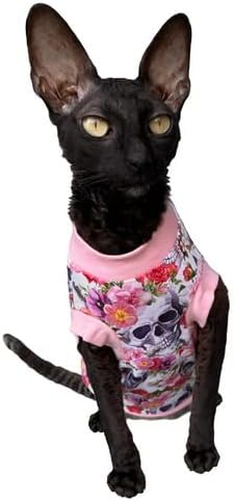 Kotomoda Cat'S T-Shirt Summer Scull for Sphynx and Naked Cats (X-Small) image number 1