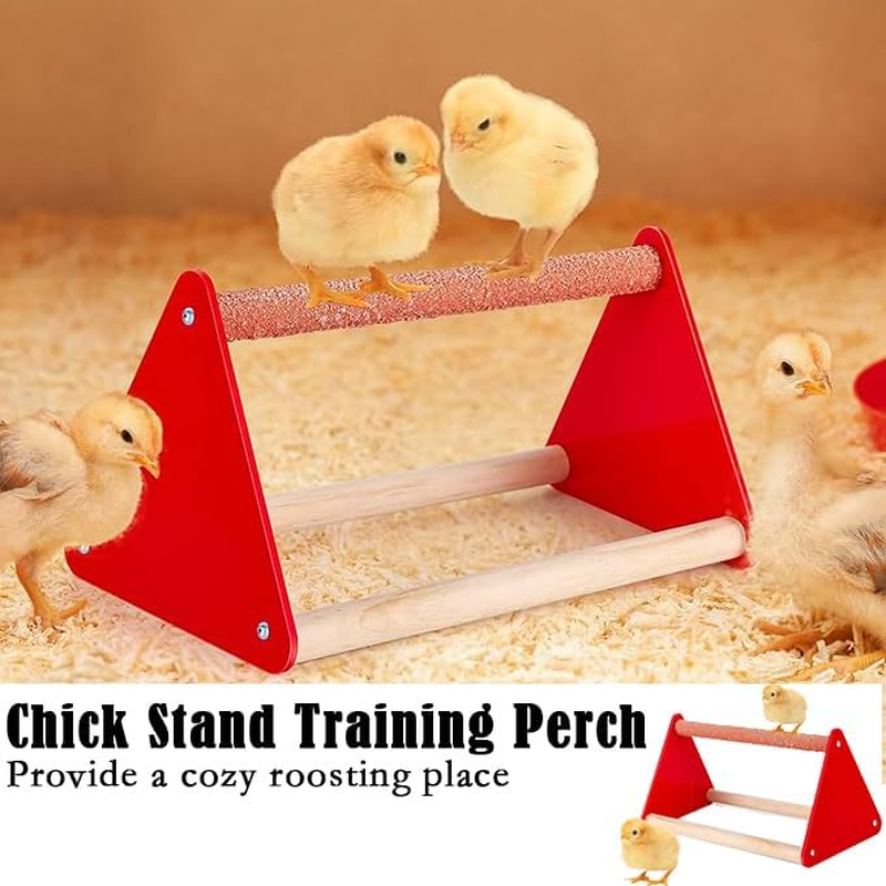 Poultry Feeding & Watering System with Comfort Perch, Durable Plastic Combo for Chicks/Ducks/Quail | Auto-Dispensing Troughs & Anti-Drown Design image number 2