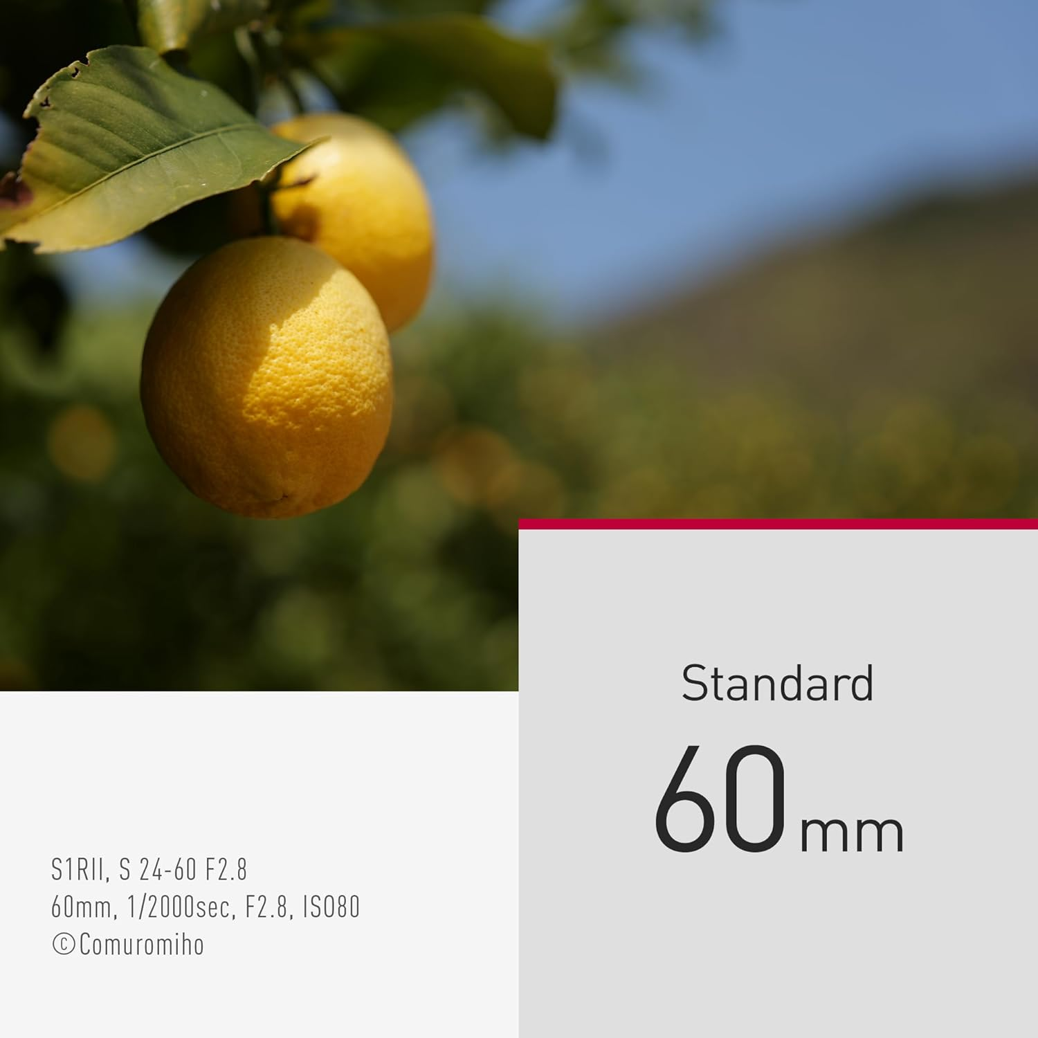 Panasonic LUMIX S 24-60Mm F2.8 L-Mount Standard Zoom Lens (S-E2460GC) image number 2