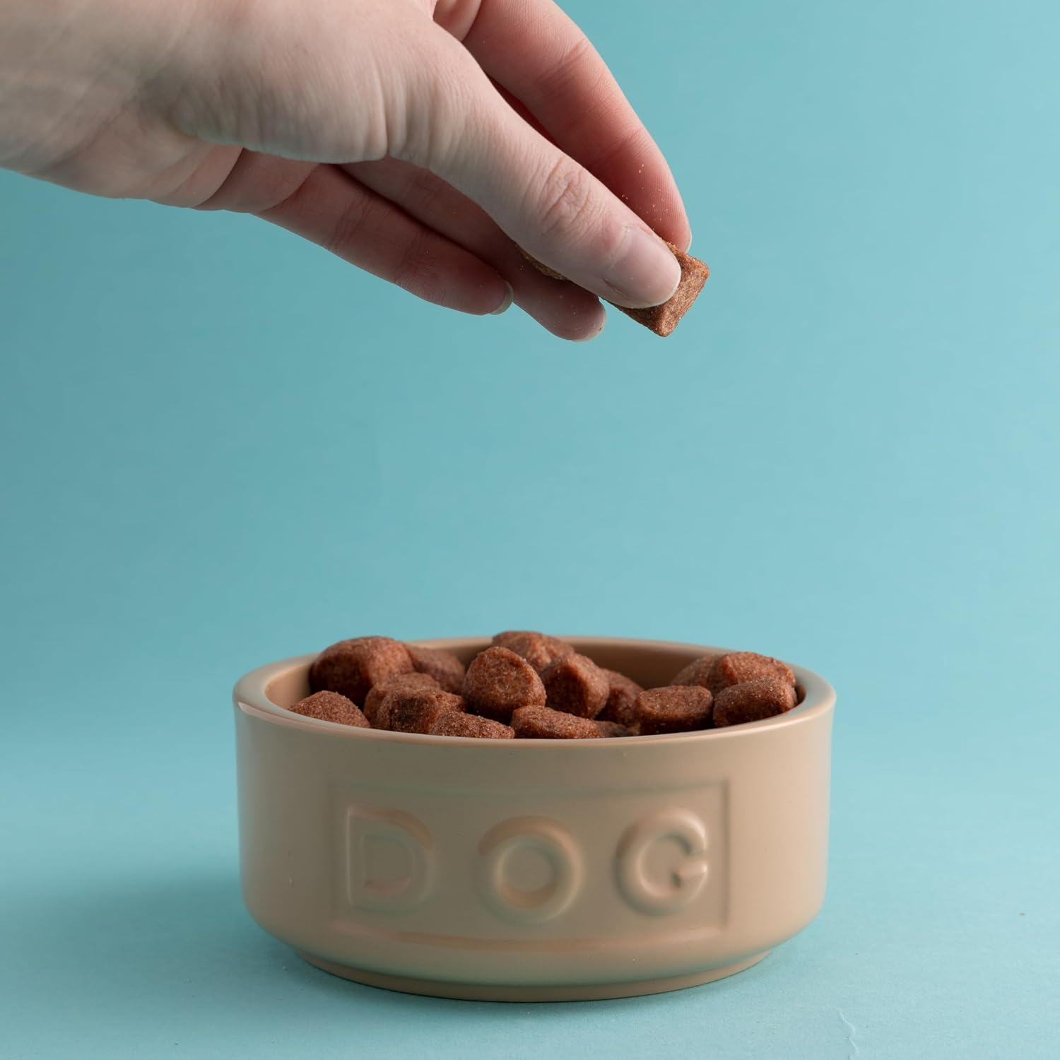 Mason Cash Cane Lettered Stoneware Dog Bowl, 400Ml, Beige 28483, White, One Size image number 7