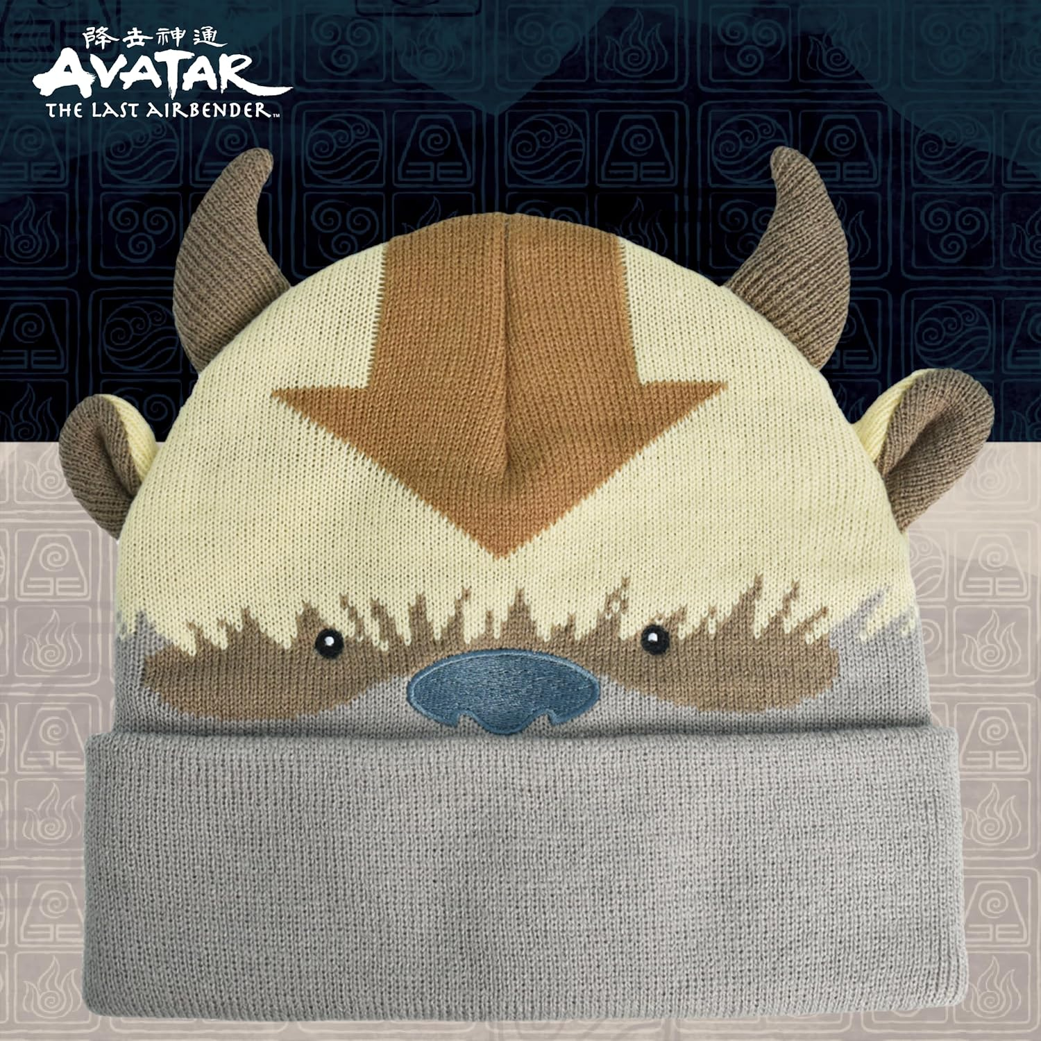 Avatar the Last Airbender Knitted Winter with Cuff Beanie Hat, Multi, One Size