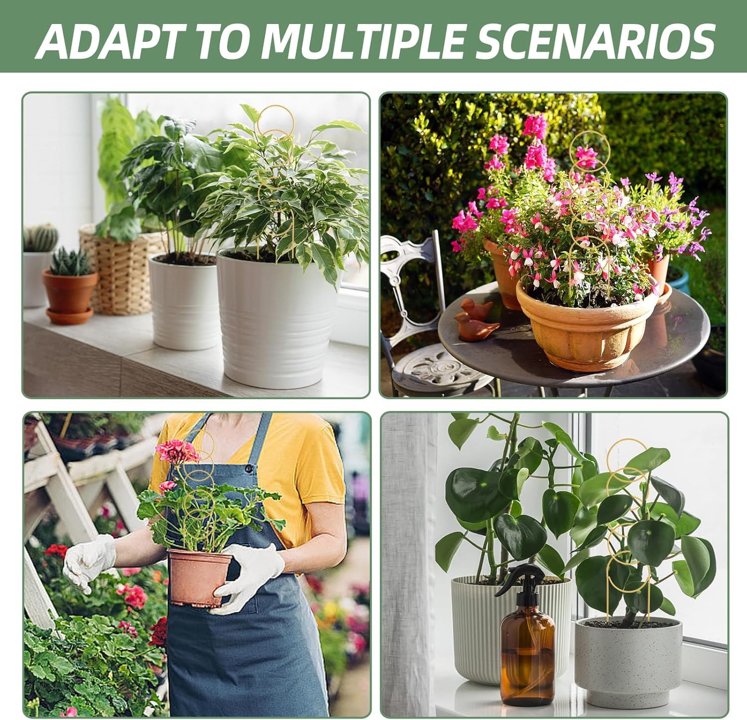 17.5 Inch Indoor Plant Trellis for Climbing Plants,Metal Trellis,Small Garden Trellis for Potted Plants,Plant Stakes for Indoor Plants Accessories Hoya,Flower,Plant Support (Golden-Metal) image number 3