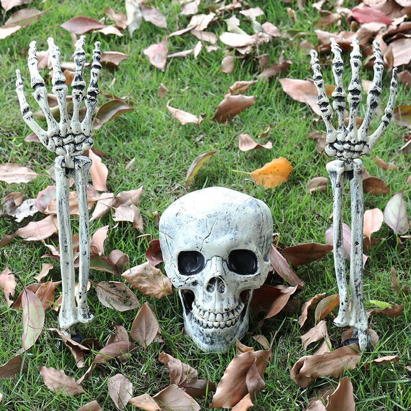 Plastic Skeleton Arms with Stakes and Skull for Halloween Decorations Outdoor, 5-Piece Decorative Props with Realistic Skull & Arm Stakes for Spooky Yard/Garden Decor image number 1