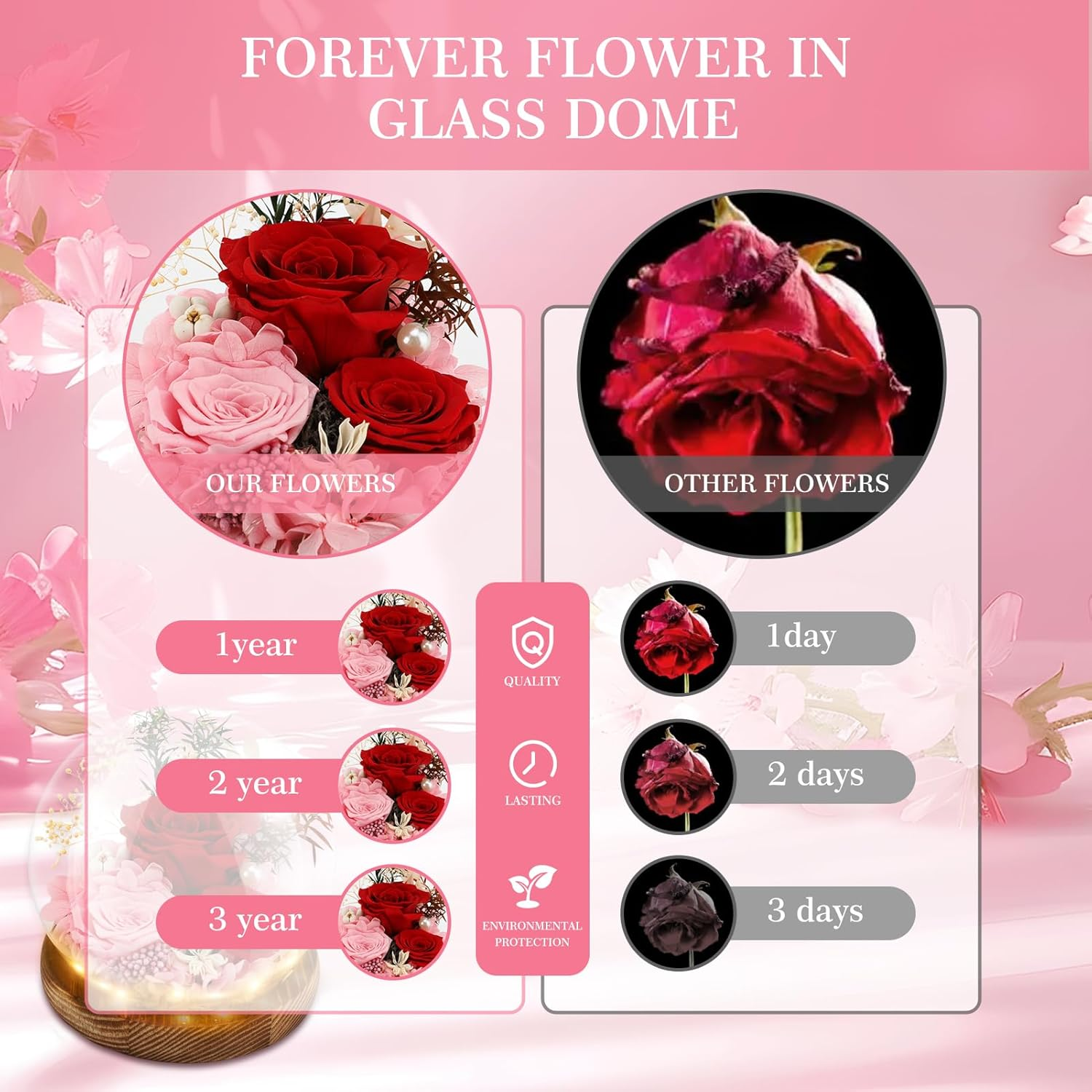 Rose in Glass Dome, Long-Lasting Real Flowers, with LED Light, Unique for Mother'S Day & Christmas & Valentine'S Day, Preserved Flowers Rose Gifts for Wife Girlfriend Mom (Red) image number 4