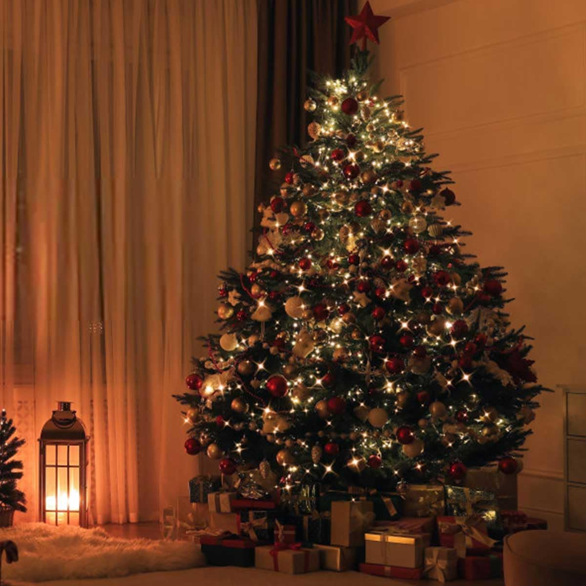 T Tersely 40M/400LED AU Plug in String Fairy Christmas Lights, 31V Low Voltage 8 Lighting Modes, Timer Function, Indoor Outdoor Warm White Dark Green Cable for Decorations Tree Party Wedding Garden image number 4