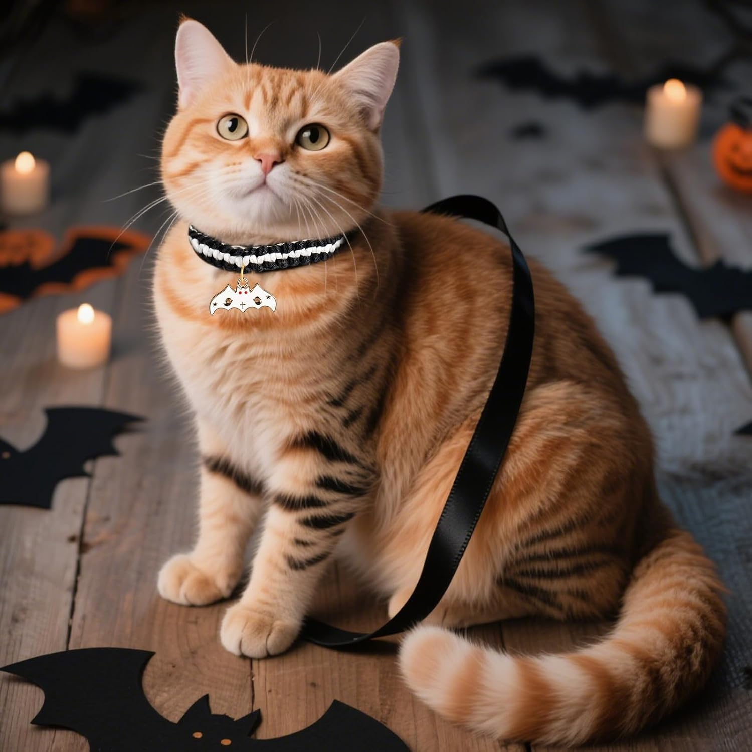 Halloween Cat Collar image number 6