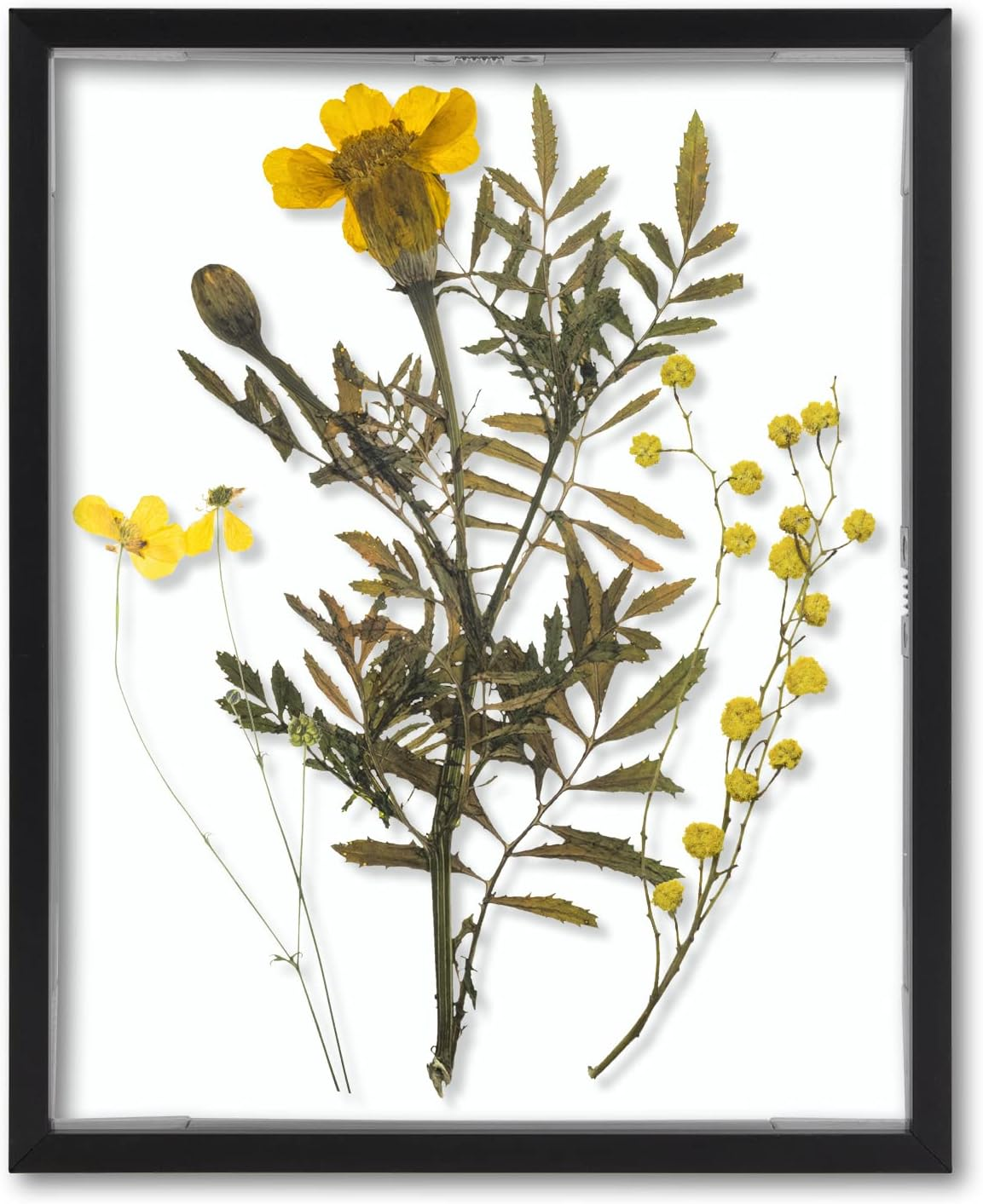 Frametory, Floating Picture Frame 8X10 - Black Aluminum Metal Photo Frame - Real Glass of Front - for Wall Mount Displays image number 6