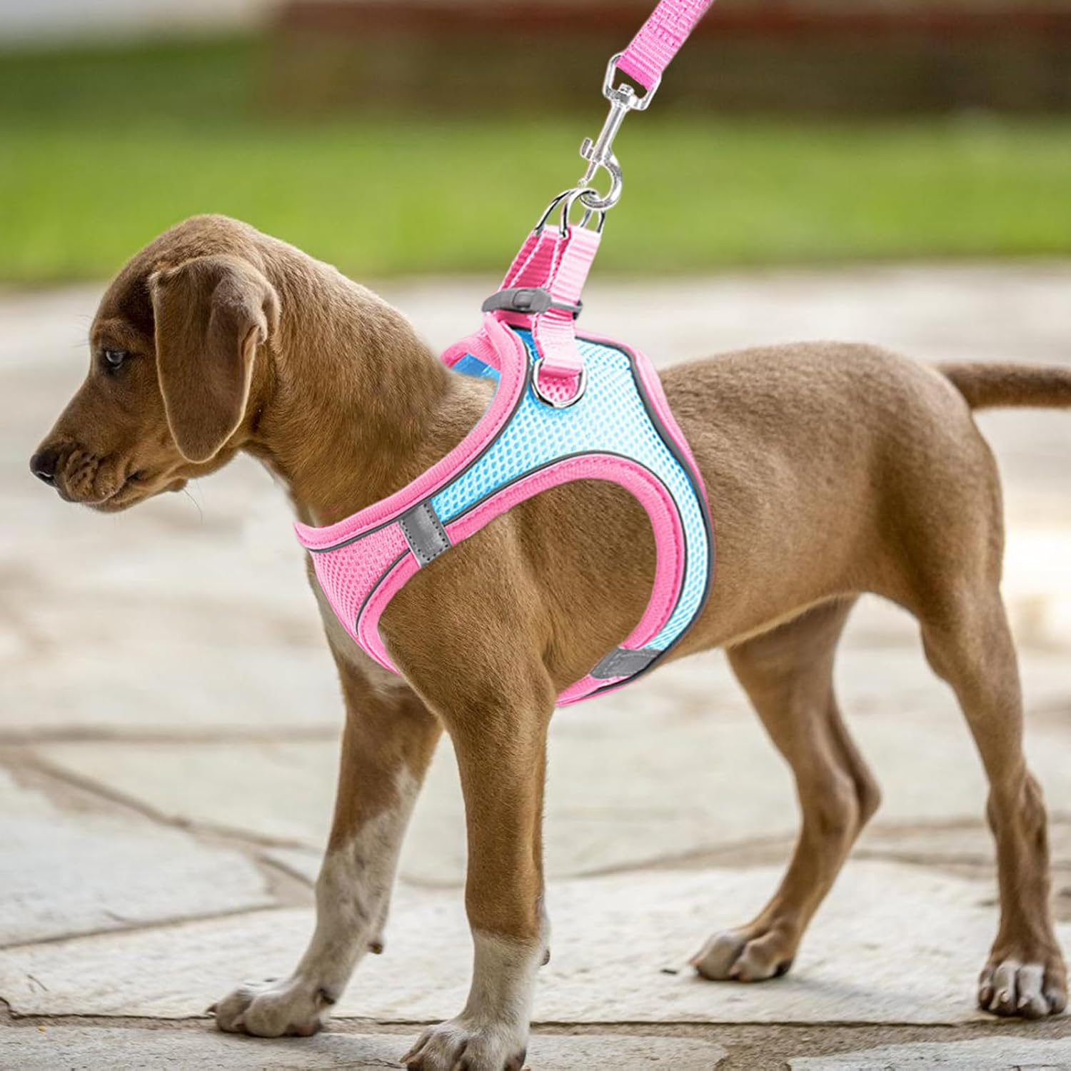 Escape Proof Puppy Kitten Vest Harnesses, Cat Vest Harness and Lead Sets, Adjustable Kitten Harness and Lead Set, for Small Medium Cats Pets Outdoor Walking Escape Proof (Pink+Blue) image number 1