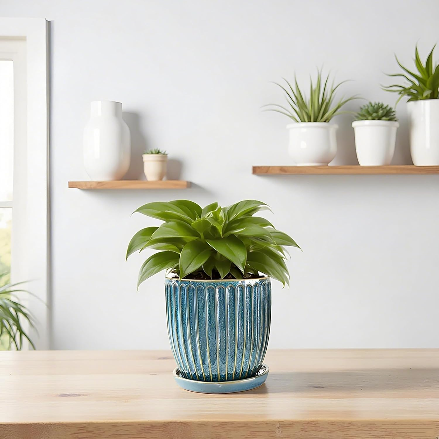 6 Inch/15 Cm Glaze Blue Ceramic Plant Pots with Drain Hole & Saucer, Flower Pots for Indoor/Outdoor Plants - Succulent, Snake Plant, Money Tree, Aloe Vera, Basil Planter image number 5